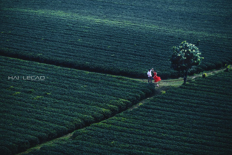 Cao nguyên Mộc Châu, Sơn La