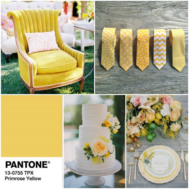 Primrose Yellow