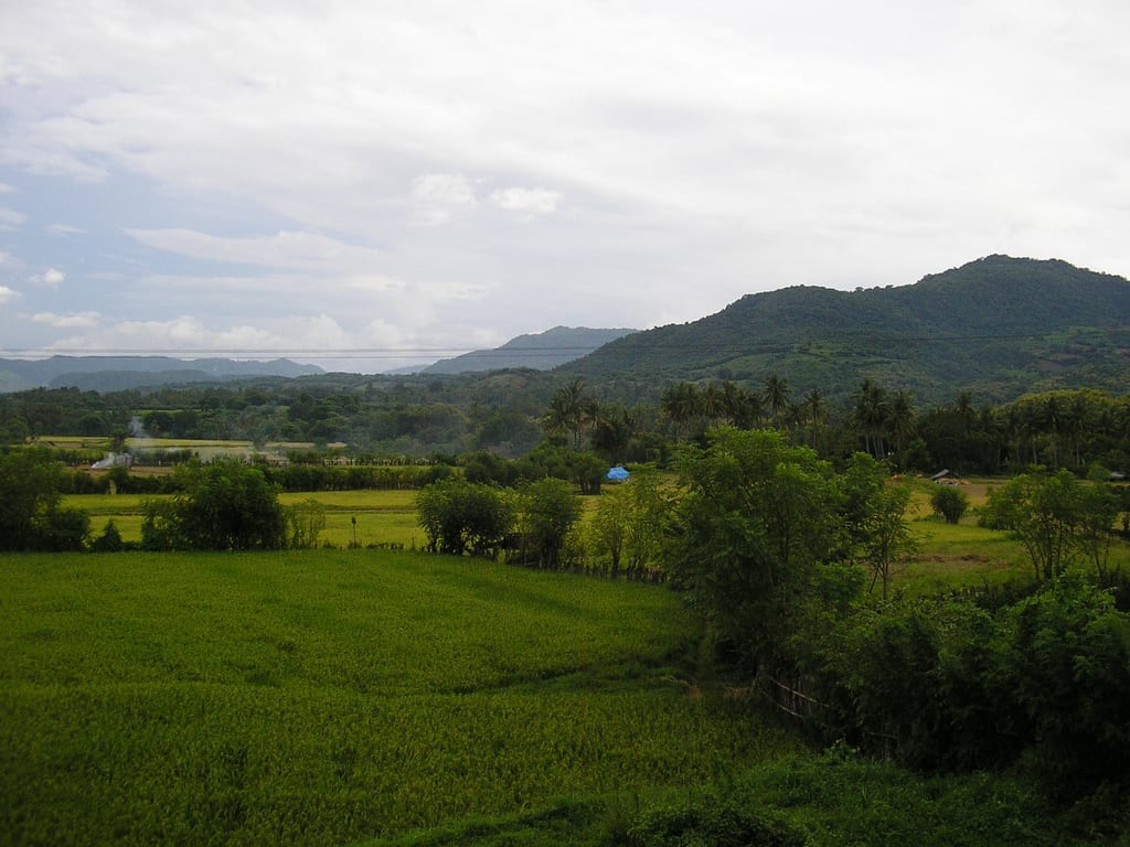 Ormat signs contract for 60 MW greenfield development in Indonesia