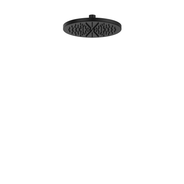 Rain showerhead
