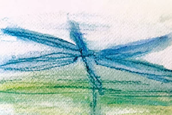 Press kit Favole d'acqua