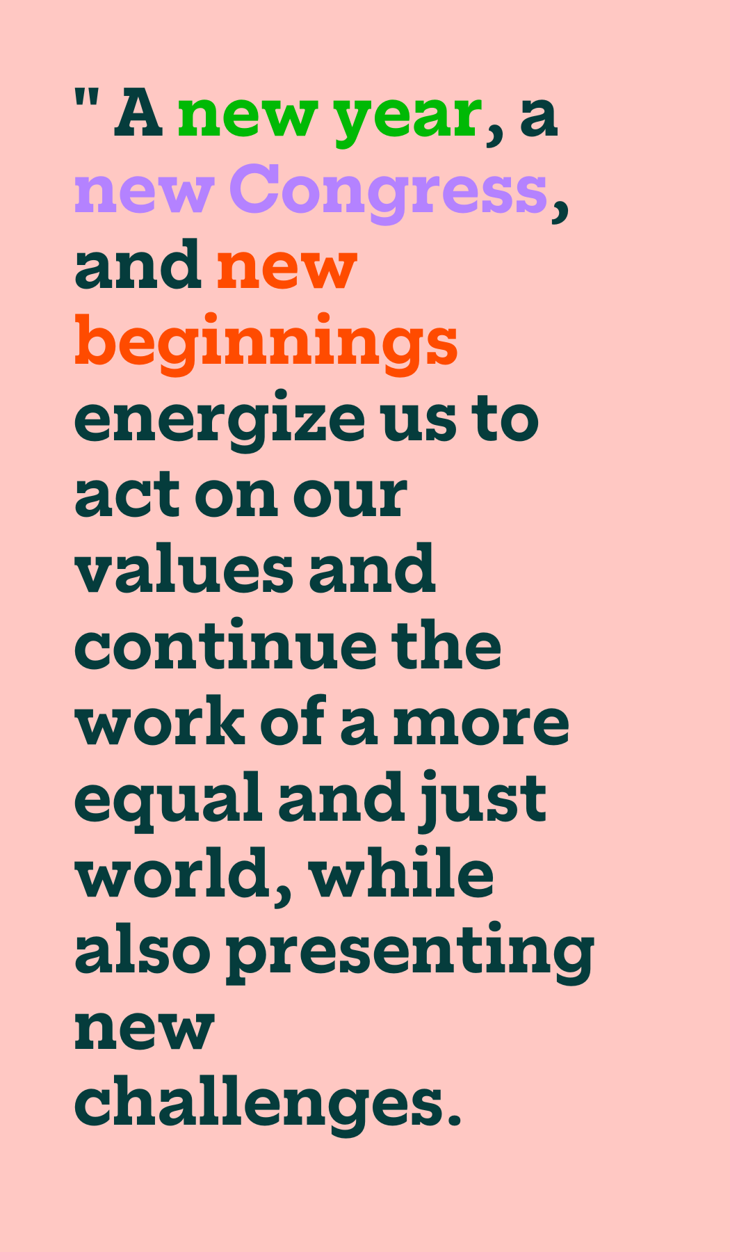 A new year, a new Congress, and new beginnings energize us to act on our values and continue the work of a more equal and just world, while also presenting new challenges.