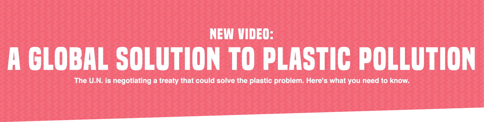 New Video: A Global Solution to Plastic Pollution