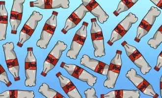 Email Builder Featured Stories 16 In: Coca Cola Breaks Promises | Our Santa Fe River, Inc. (OSFR) | Protecting the Santa Fe River Email Builder Featured Stories 16 In: Coca Cola Breaks Promises | Our Santa Fe River, Inc. (OSFR) | Protecting the Santa Fe River