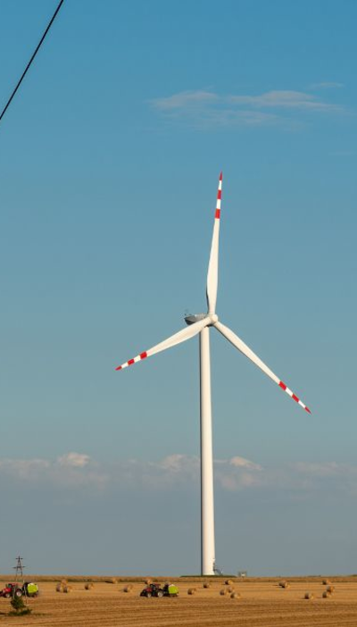 A powerline adjacent to a wind turbine