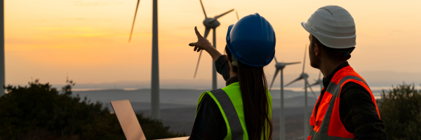 Two workers in hardhats pointing towards windmills in the distance.