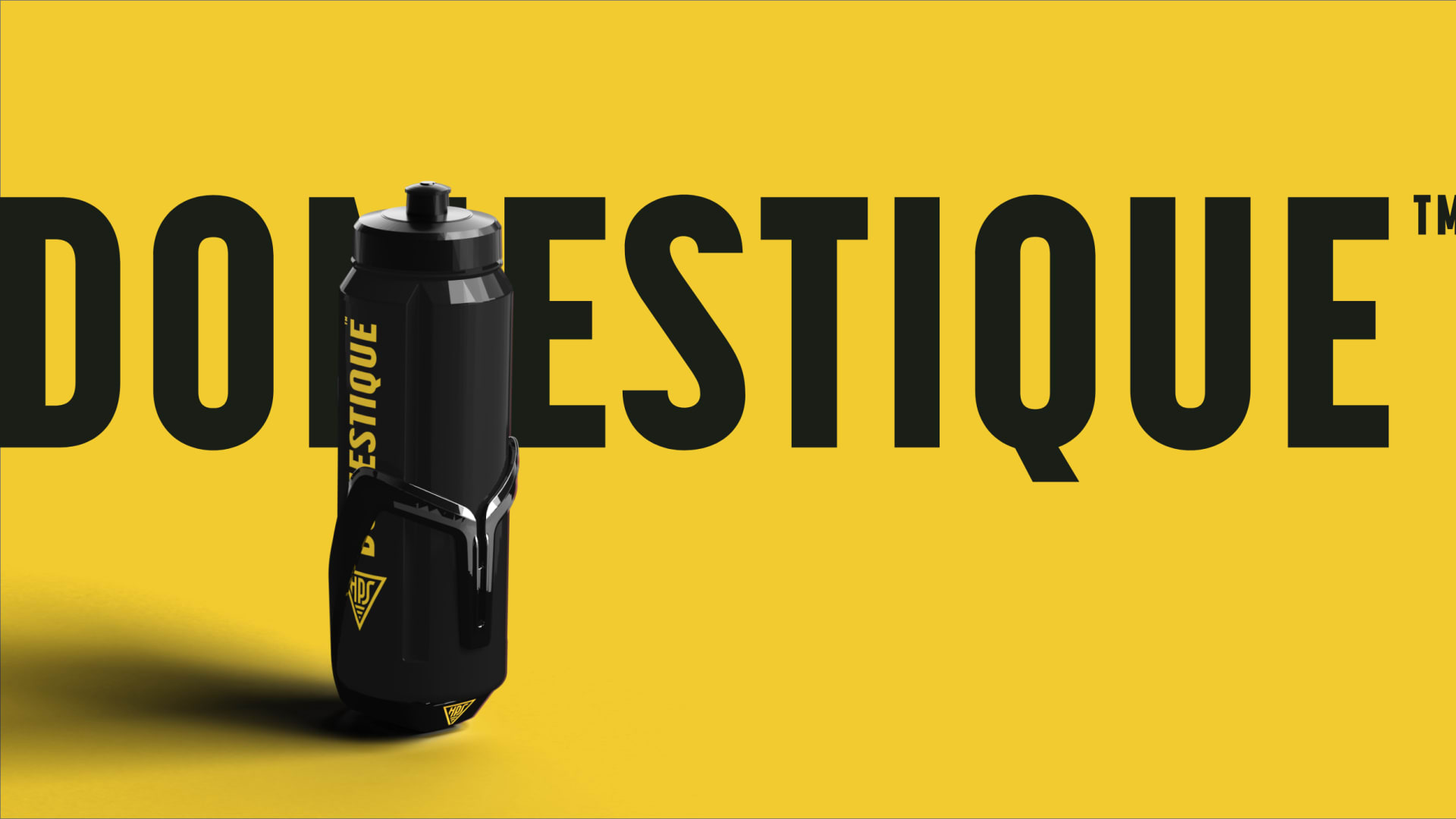HPS Domestique