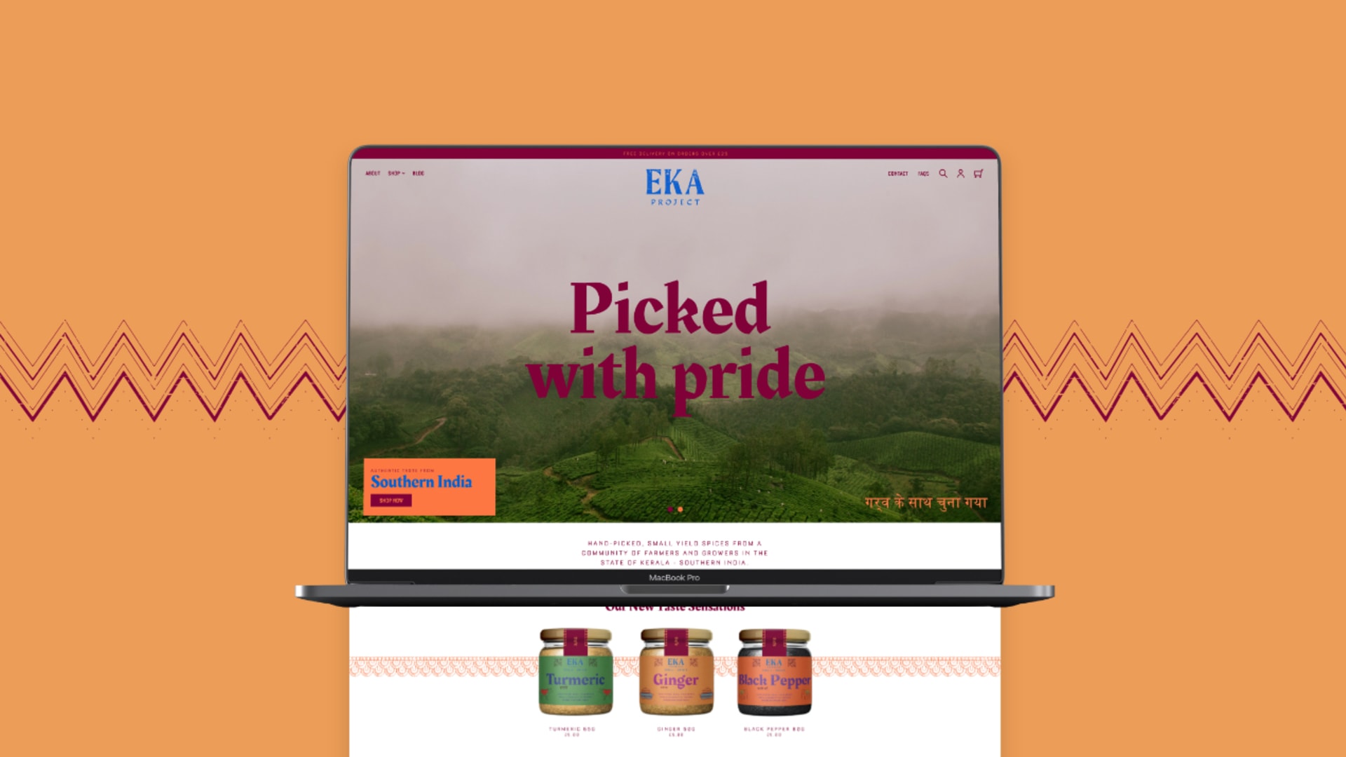 Shopify website