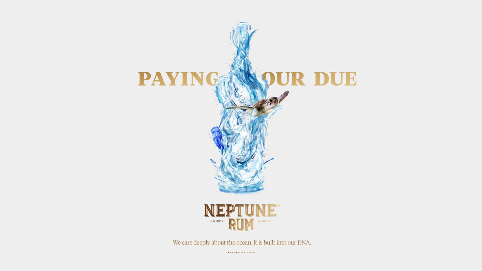 Neptune Campaign
