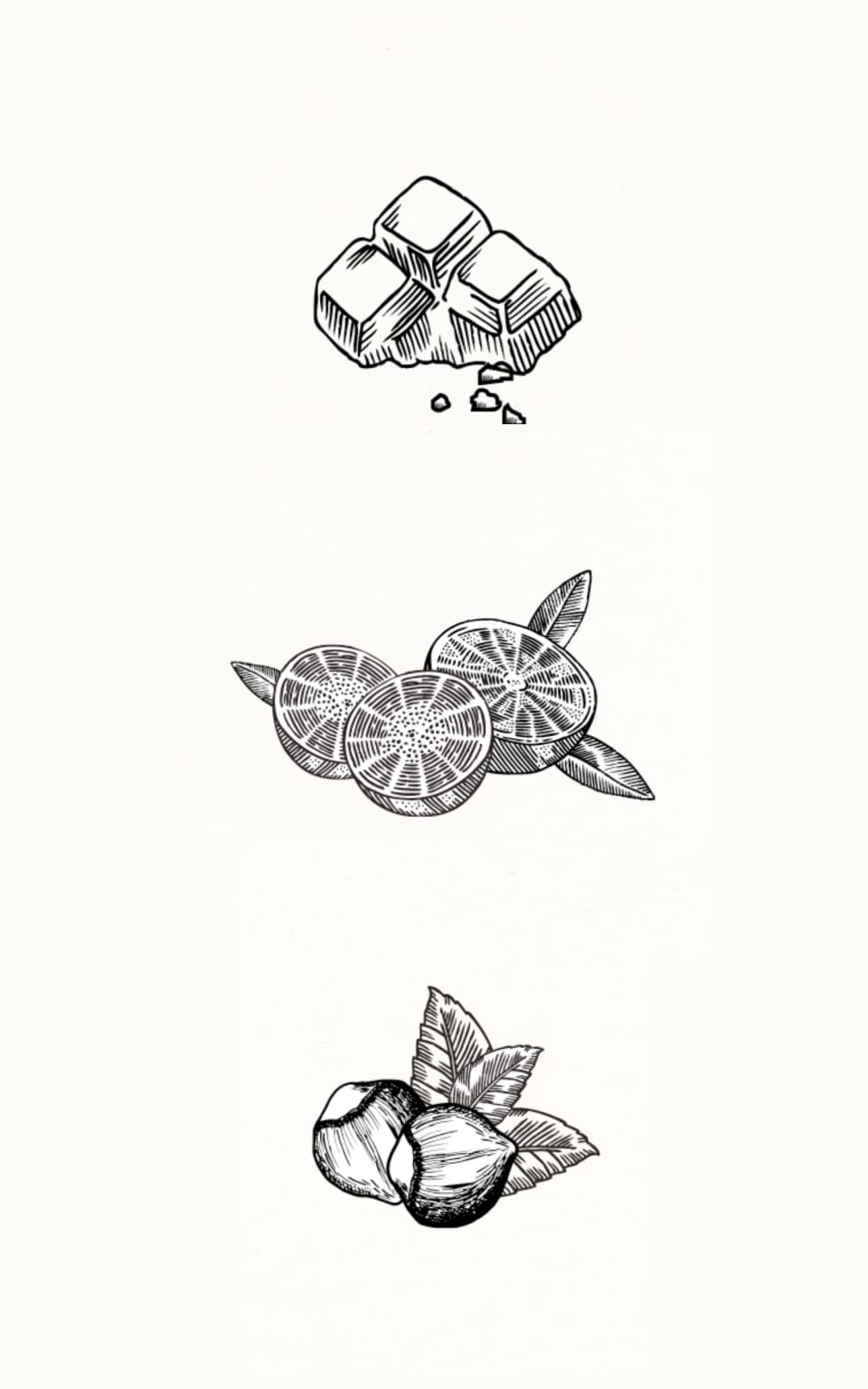 Pots & Co. Product Illustrations