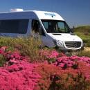 au-maui-ultima-plus-exterior-flowers-ND