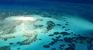 The Great Barrier Reef