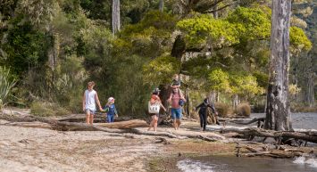 Family-Friendly Christchurch to Kaikoura Itinerary