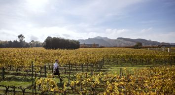 The Classic New Zealand Wine Trail