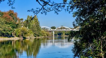 Explore the Forgotten World Highway - Auckland to New Plymouth Itinerary