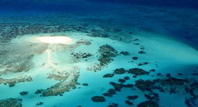 The Great Barrier Reef