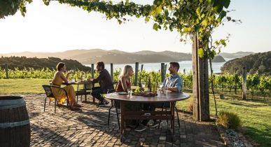 14 Day North Island Itinerary: Auckland Round Trip via Wellington for the Faultline Ultra Marathon