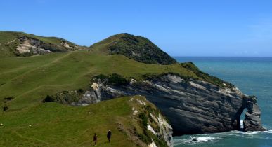 New Zealand Highlights Itinerary: North to South in 14 Days