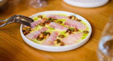  Top of the South Island 11 Day Wellness, Food and Wine Campervan Itinerary from Christchurch