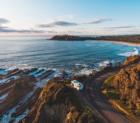 Stray, stay & play in NSW