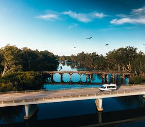 Stray, stay & play in Victoria