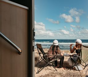 Stray, stay and play in WA