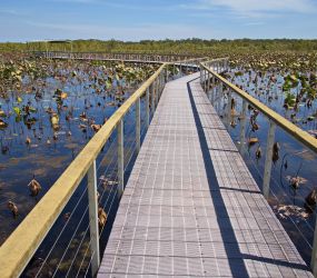 Guide to Fogg Dam Conservation Reserve