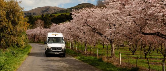 Up to 15% off daily vehicle rates*