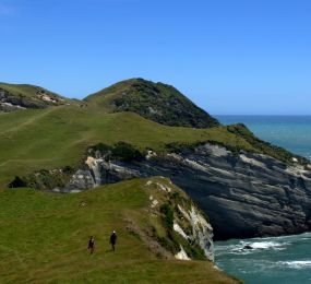 New Zealand Highlights Itinerary: North to South in 14 Days