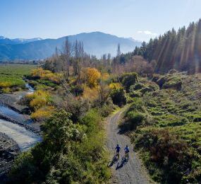 Christchurch to the Top of the South Island: 11 Day Food and Wine and Outdoor Itinerary