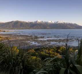Christchurch to the West Coast, Kaikoura and Hurunui: 16 day outdoors, food and wine itinerary