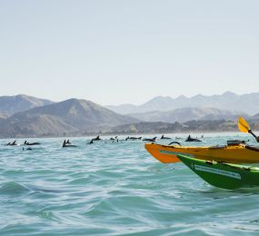 Queenstown to the West Coast, Kaikōura and Hurunui: 21 Day South Island New Zealand Campervan Itinerary