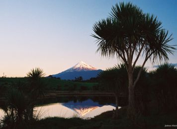 Get inspired with Maui, Manawatu-Whanganui & Taranaki