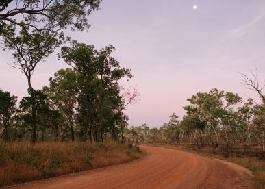 Top Driving Tips For 4WD