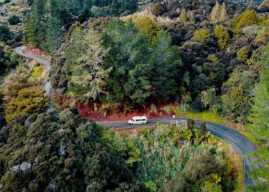 The Best Time Of Year To Visit New Zealand