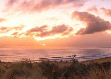 The Best Beaches Near Auckland