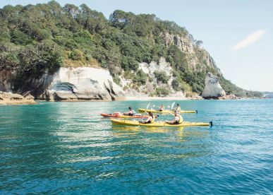 10 Things to Do in the Bay of Islands