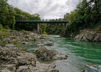 Guide to Pelorus Bridge