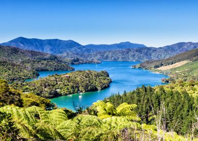 Guide to Queen Charlotte Sound