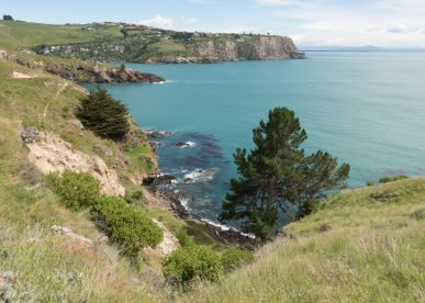 Guide to Awaroa/Godley Head Track