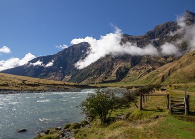 Rob Roy Glacier Track: A Half-Day Alpine Adventure From Wānaka