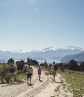 14 Day North & South Island Tour Header Image 2
