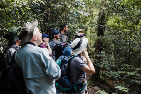 Lamington National Park