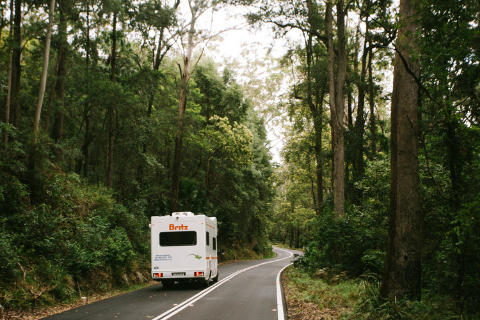 Royal National Park