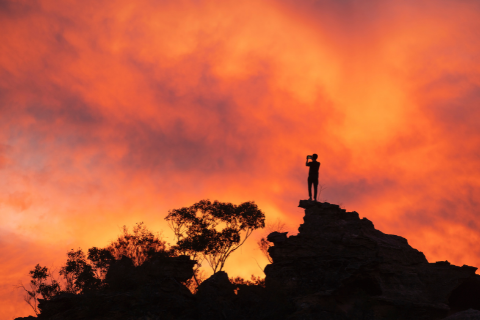 Blue Mountains National Park