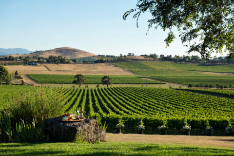 Yarra Valley 