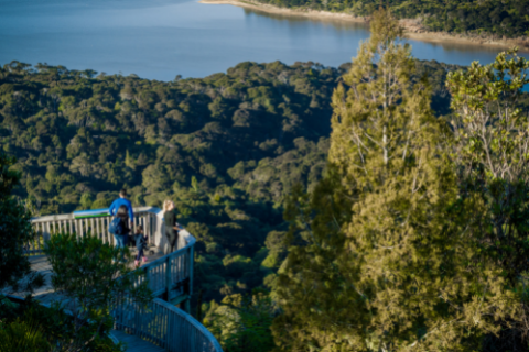 Waitakare Ranges 