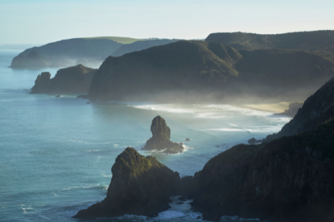 The West Coast