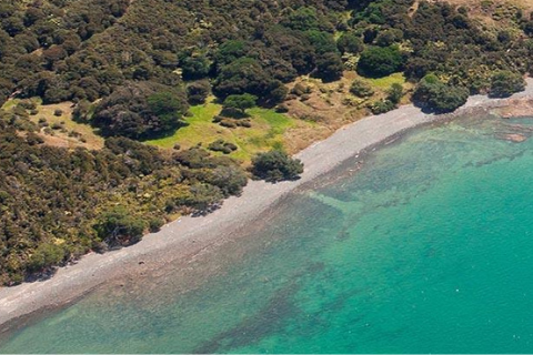  Tapapakanga Regional Park 