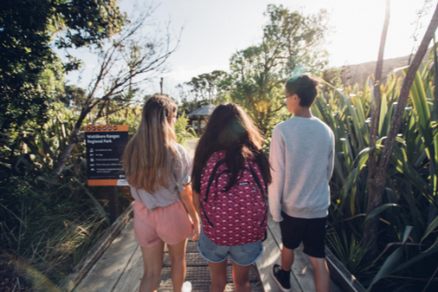 Waitakare Ranges 